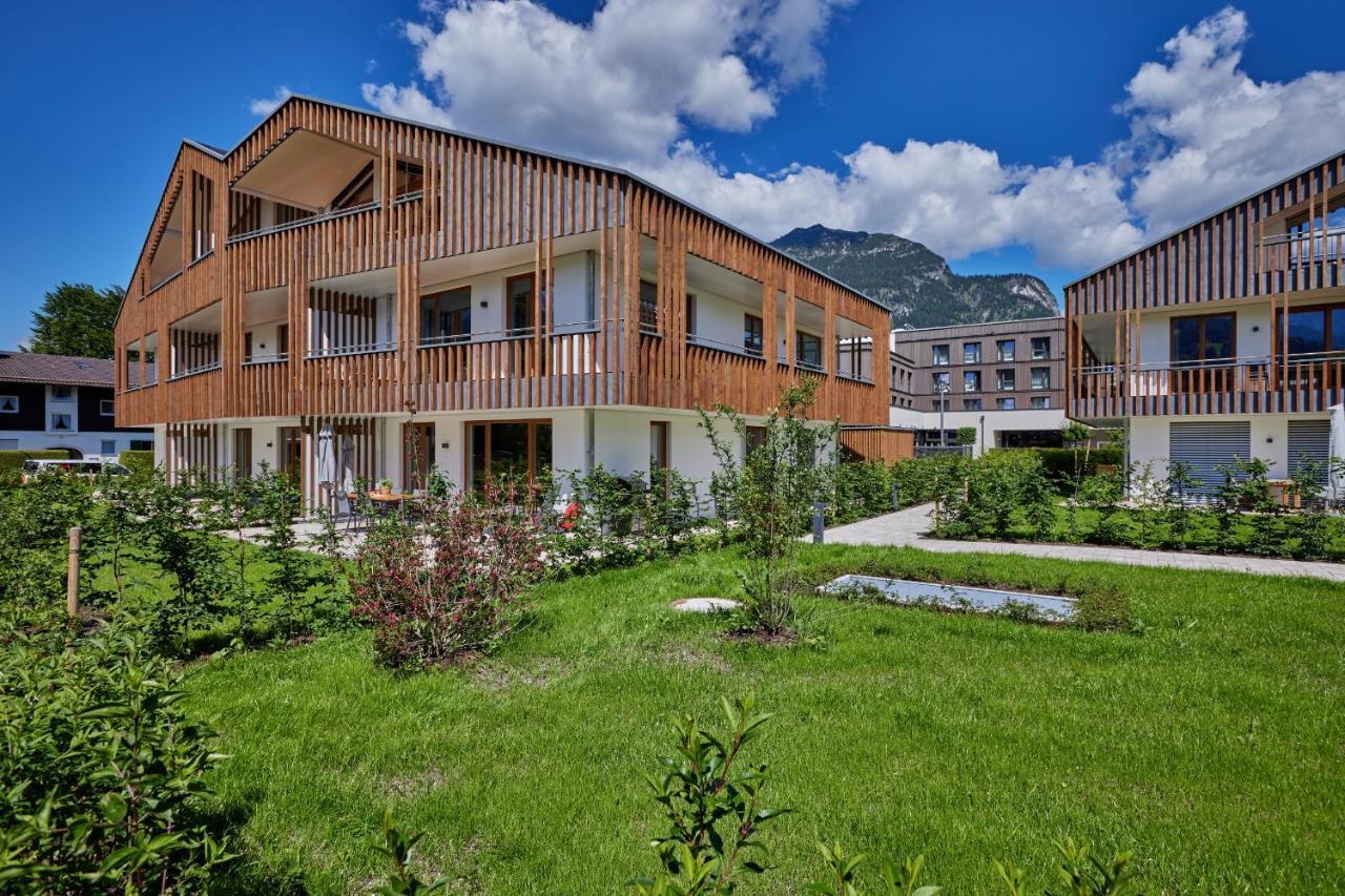 Hirsch Garmisch-Partenkirchen